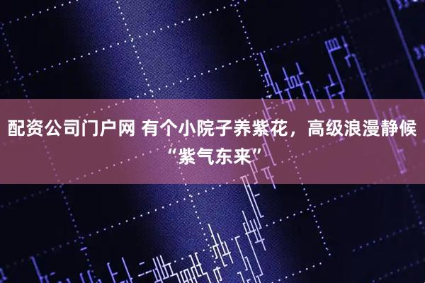 配资公司门户网 有个小院子养紫花，高级浪漫静候“紫气东来”