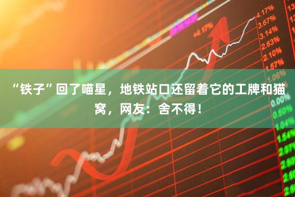 “铁子”回了喵星，地铁站口还留着它的工牌和猫窝，网友：舍不得！