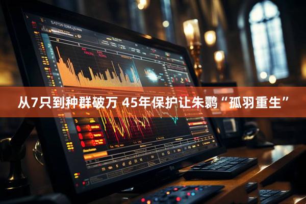 从7只到种群破万 45年保护让朱鹮“孤羽重生”